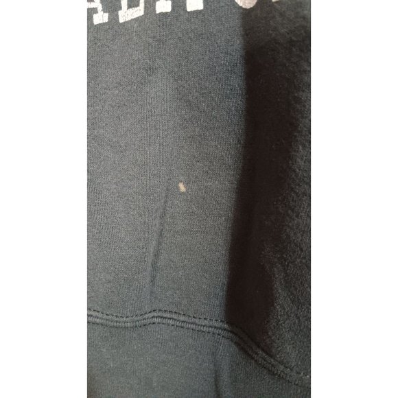 Fruit of the Loom Black Large Fleece USA Vintage Viscalia California Sweatshirt - Picture 3 of 5